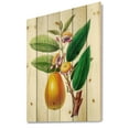 thumbnail image 2 of Designart 'Ancient Fruits I' Farmhouse Print on Natural Pine Wood, 2 of 5