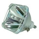 Lutema Économie pour Lampe de Projecteur Hitachi DT00661 (Ampoule Seulement) – image 1 sur 5