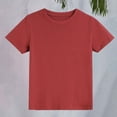 thumbnail image 5 of UACY Little Girls Boys Short Sleeve T-Shirt Cotton Solid Tees for Toddlers Solid Basic Cotton Crewneck Tee Workout Top Boys ﻿ (Brick Red, 12-18 Months), 5 of 9