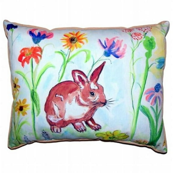 Whiskers Large Indoor & Outdoor Pillow