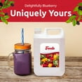 thumbnail image 3 of Fanale Premium Flavoring Concentrated Syrup for Bubble Tea 11 lb | Blueberry Flavor Syrup | for Boba Tea, Smoothies, Slushes, Desserts | 11lb, (Pack of 1), 3 of 7