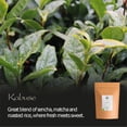 thumbnail image 5 of Kabuse Japanese Tea Japan - Kabusecha Between Sencha And Gyokuro Green Tea From Japan 25g, 5 of 5
