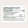 thumbnail image 3 of THORNE - Quercetin Complex (Formerly Quercenase) - Nutritional Support for Seasonal Allergies* - 60 Capsules - 60 Servings, 3 of 9