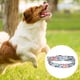 thumbnail image 3 of Jardín perfumado de primavera Collar de flores para perros con bolsa de compras a juego para los amantes de las mascotas, 3 of 5