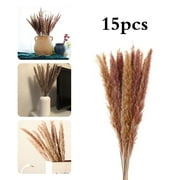 15pcs Natural Dried Reed Flowers Bouquets Pampas Grass For Home Tabletop Decoration