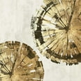 thumbnail image 2 of PI Studio 20x20 Gold Ornate Wood Framed with Double Matting Museum Art Print Titled - Gold Plate III, 2 of 4