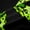 Green, variant on Castle Fairy Teens Black Pink Bow-Tie Black Out Curtains,Animal Leopard Cheetah Print Curtains Pack of 2 (42x63 Each),Old Fashion Dreamy Princess Bedroom Curtains,Microfiber Bedroom Decor