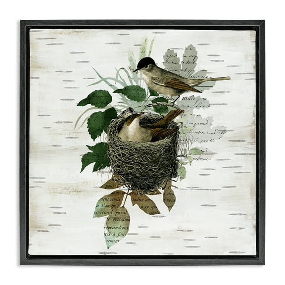 Stupell Industries Birds in Vintage Nest Animals Painting Black Floater Framed Canvas Art Print Wall Art, 18 x 18