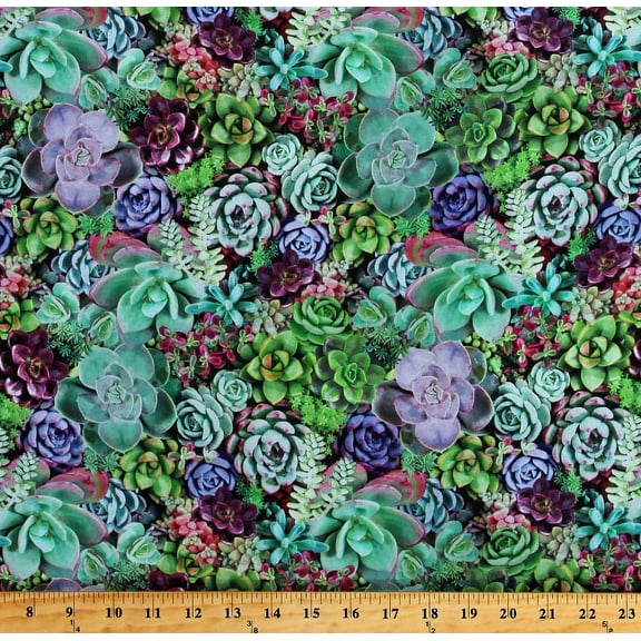 Cotton Succulents Desert Plants Floral Landscape Nature One of a Kind Green Purple Pink Cotton Fabric Print by the Yard (50908-X)