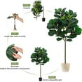 thumbnail image 5 of 5.2 Ft Artificial Fiddle Leaf Fig Tree, Faux Ficus Lyrata Plant with 62 Fiddle Leaves,Tall Fake Plants Large Floor Plant with Pot for Indoor Living Room House Office Decor Housewarming Gift, 5 of 6