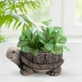 thumbnail image 3 of deevoka Animal Planter Pot Art Collection Pot for Courtyard Yard Bookshelf Turtle, 3 of 9