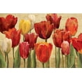 thumbnail image 2 of Hageman, Marilyn 14x11 White Modern Wood Framed Museum Art Print Titled - Tulip Fantasy on Cream, 2 of 4