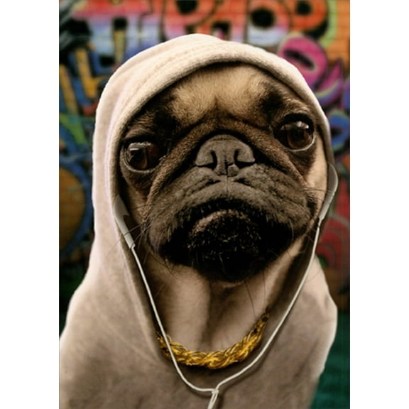 Portal Publications Pug in Hoodie Funny / Humorous Dog Birthday Card