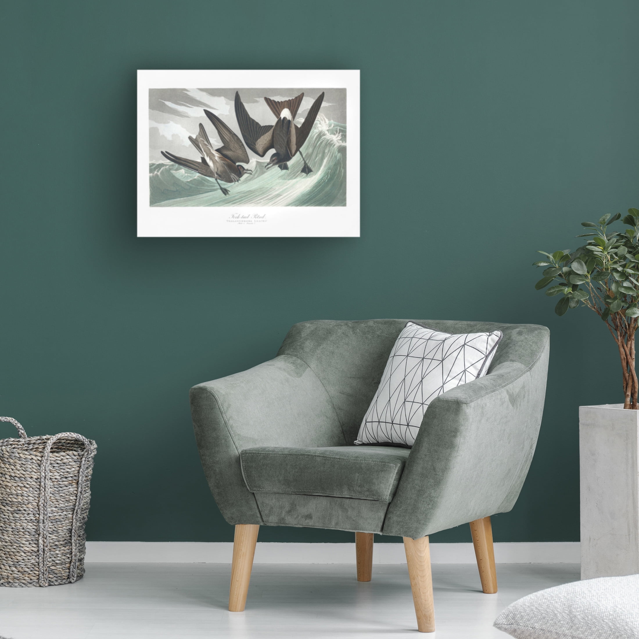 Trademark Fine Art Pictufy Fork Tailed Petrel From Birds of America 1827 Canvas Wall Art