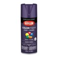 thumbnail image 1 of KRYLON/SHERWIN WILLIAMS KRYLON / SHERWIN WILLIAMS KR5533, 1 of 1