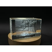 The Harvesters 3D Engraved Crystal Decor