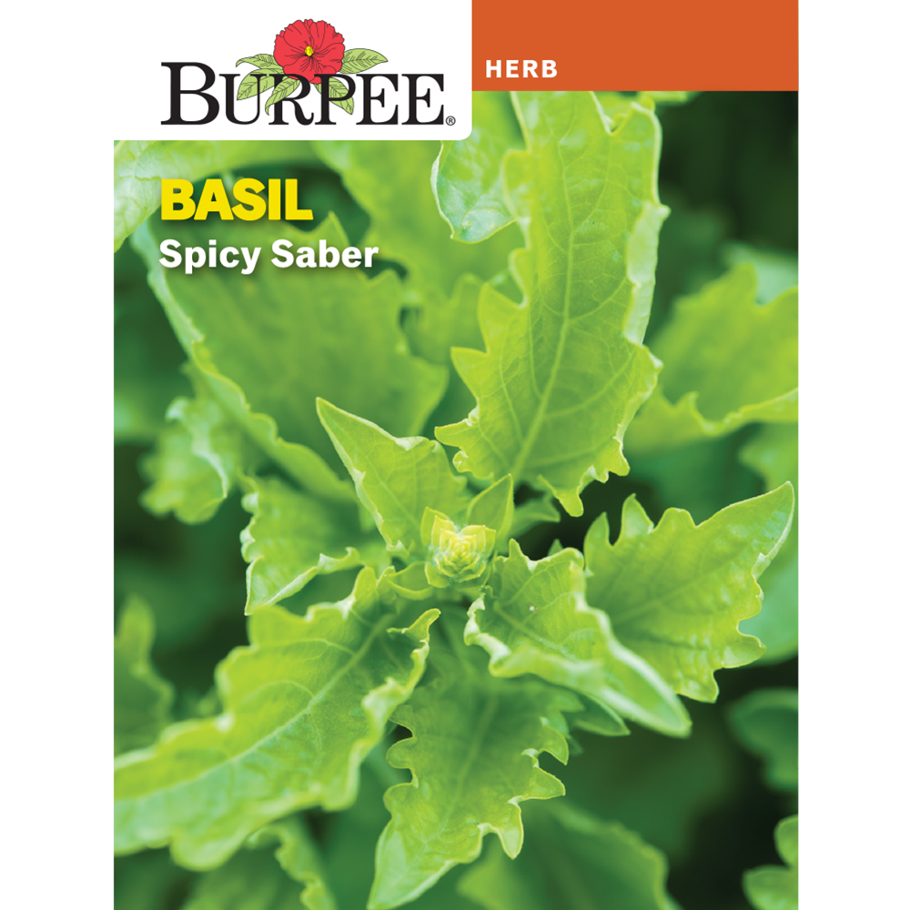 Burpee Spicy Saber Basil Herb Seed, 1pack