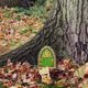 thumbnail image 3 of Puerta Hadas Casa Muñecas Elfo en Miniatura Artesanía para Árboles Jardín (3), 3 of 9