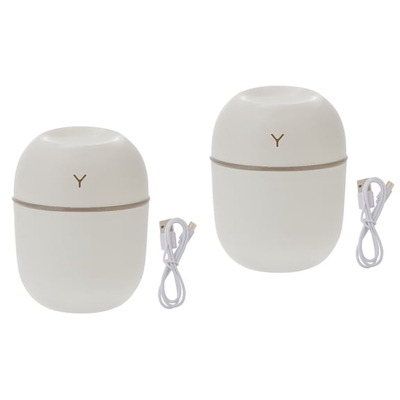 2 Pieces Humidifier for Dry Skin Beautiful Decoration