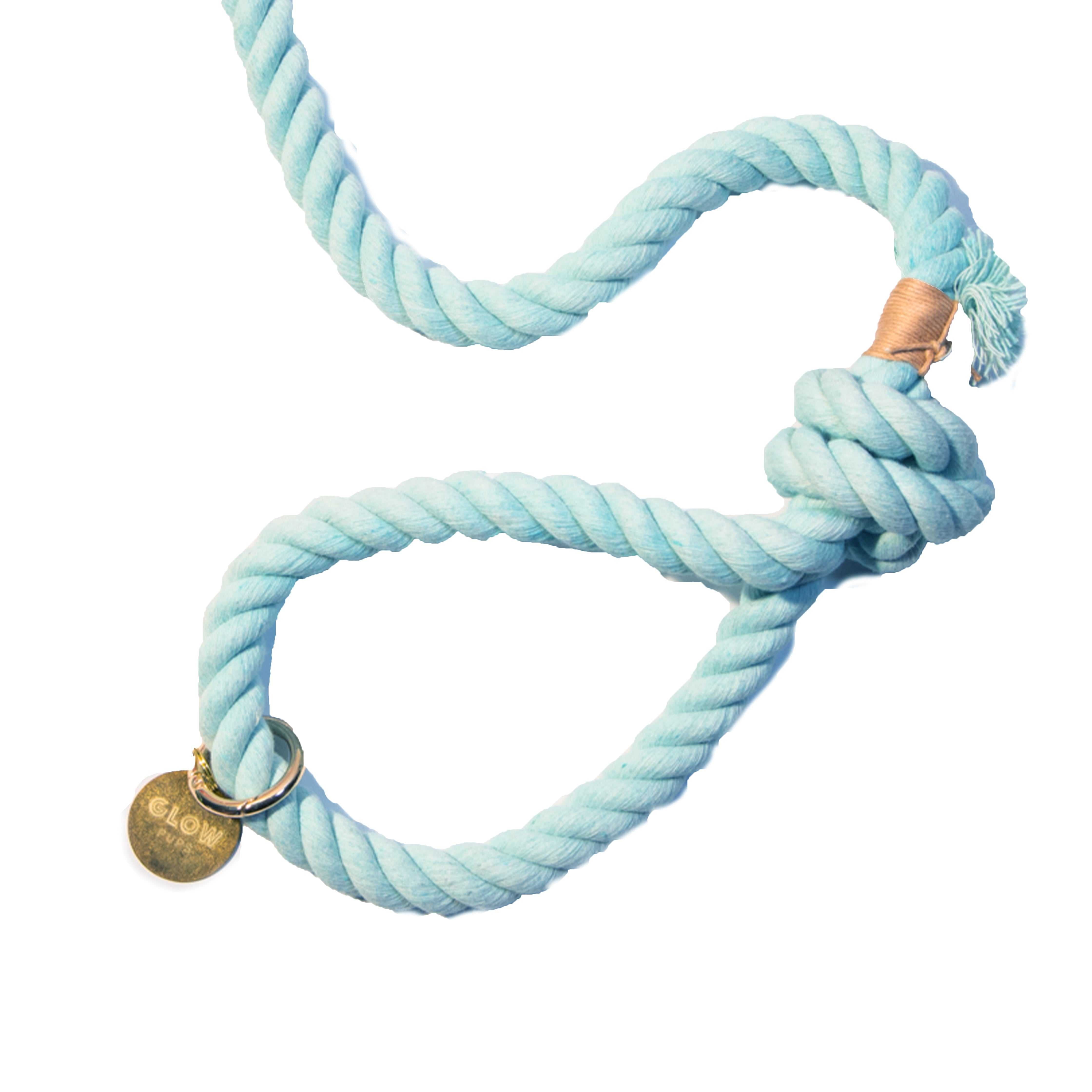 Light Blue Rope Dog Leash - Glow Pups