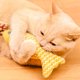 thumbnail image 5 of Juguetes Para Gatos, Resistente A Las Mordeduras, Atrae La Atención, PP, Algodón, Pez, Hierba Gatera, Juguete Para Gatos, Multifunción Para El Hogar Para Amantes De Los Gatos, 5 of 7
