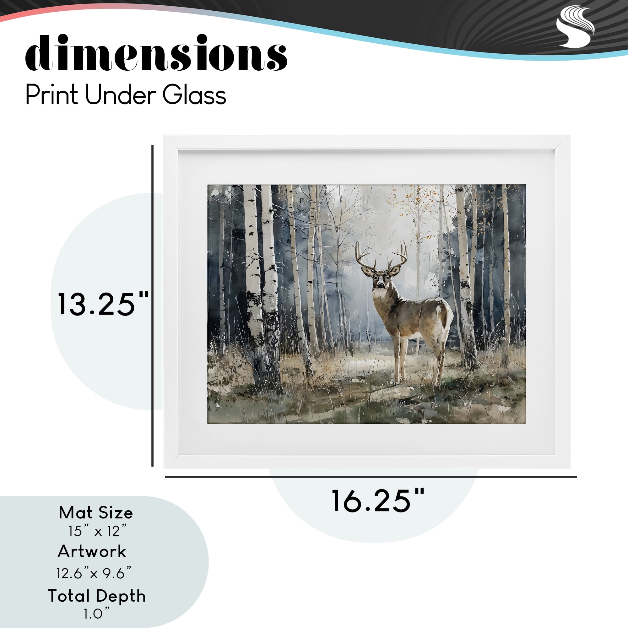 Stupell Industries Lone Stag in Birch Forest White Framed Print Under Glass, design by Franklyn Gregory