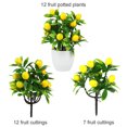 huntermoon Mini Potted Plant Simulation Lemon Pots Artificial Kumquat