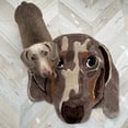 thumbnail image 2 of Clearance! Pet Shaped Rug Handmade Rug Pad Custom Rug Animals Dog Cat Custom Tufted Rug Personalized Gifts for Pet Lovers Pet Memorial Gifts, 2 of 9