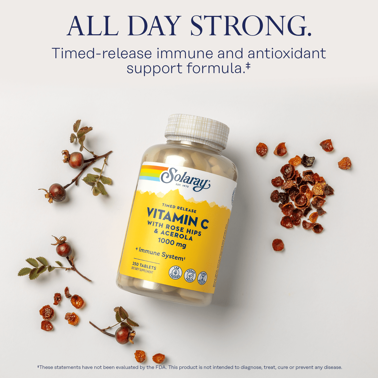 SOLARAY Vitamin C 1000mg Timed Release Capsules with Rose Hips & Acerola Bioflavonoids, Two-Stage for High Absorption & All Day Immune Function Support, 60 Day Guarantee (50 Servings, 250 Tablets)
