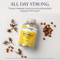thumbnail image 3 of SOLARAY Vitamin C 1000mg Timed Release Capsules with Rose Hips & Acerola Bioflavonoids, Two-Stage for High Absorption & All Day Immune Function Support, 60 Day Guarantee (50 Servings, 250 Tablets), 3 of 6
