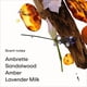thumbnail image 3 of Perfume PHLUR Afterglow Eau de Parfum, 9,5 ml, para mujeres y hombres, 3 of 7