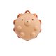 thumbnail image 1 of Silicona Grip Ball Descompresión Burbuja Música Fingertip Vent Juguetes Juguetes educativos Descompresión Juguetes Regalos de Navidad Wmkox8yii HAHFKSH360, 1 of 1