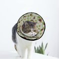 thumbnail image 1 of Camomile Flower Raspberry Soft Cat Dog Recovery Collar Adjustable Cat Cone Wound Healing Protective After Surgery for Dog Cone Collar, 1 of 7