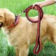 thumbnail image 2 of Correa Para Perro Trenzada De Uso Rudo Grande, 2 of 4