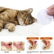 thumbnail image 4 of Toallitas para orejas de mascotas Toallitas limpiadoras para orejas de gatos y perros Toallitas para orejas para toallitas para orejas de mascotas, 4 of 10