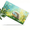 Cute Hedgehog in, variant on 1 Pcs 2D Flat License Plate Covers & Frames, Cute Hedgehog in For Decorative Front, Waterproof For Decoration Aluminum License Plate Covers & Frames Cover For Men Women, 12" X 6"