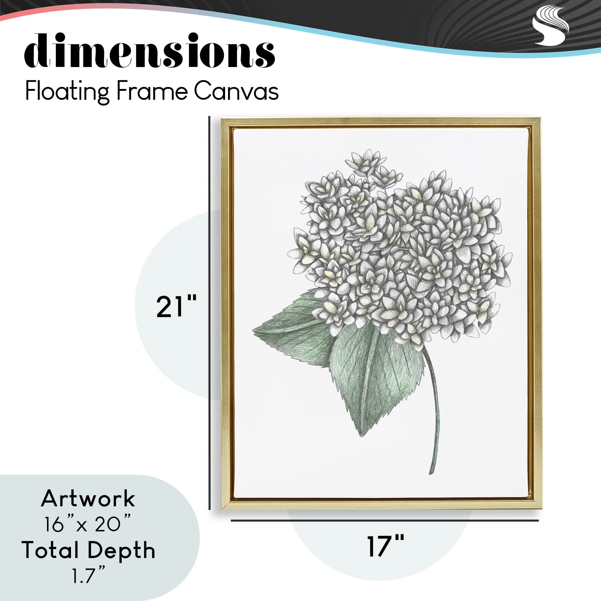 White Hydrangea Sketch Blossom Gold Framed Floater Canvas Wall Art, design by Cecilia Battaini