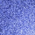 thumbnail image 1 of Ahgly Tapis d'Intérieur Lavable en Machine Carré Transitionnel Bleu Ciel, 8 Pieds Carré, 1 of 7