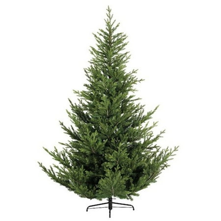 5 Ft Norway Spruce Tree