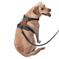 thumbnail image 3 of Lsque Mandala Dog Harness, No-Pull Pet Harness with 2 Leash Clips, Adjustable Soft Padded Dog Vest with Easy Control Handle for Large Dogs-X-Large, 3 of 9
