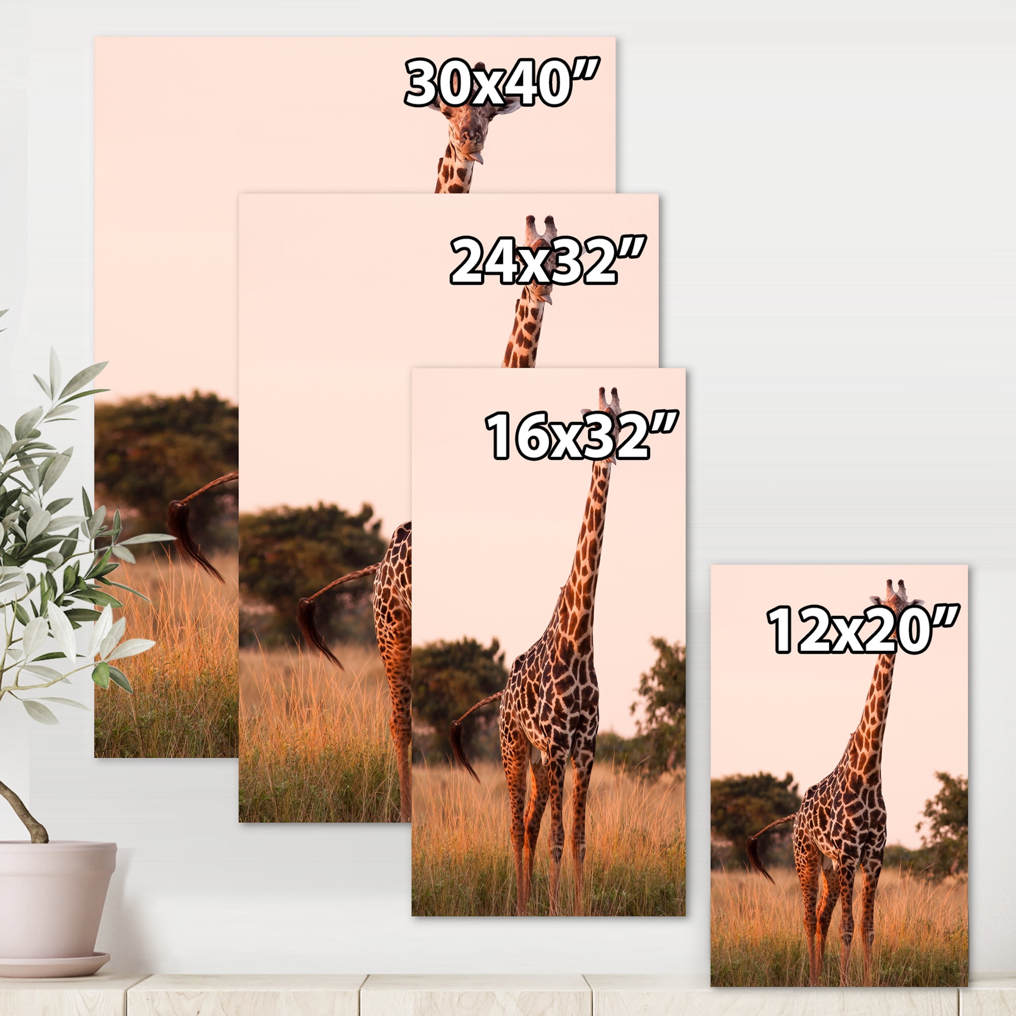 Designart ' African Giraffe In The Wildlife I ' Farmhouse Canvas Wall Art Print