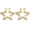 G:Gold Pentagram, variant on Bamboo Earrings for Women 90s 80s Large Bamboo Joint Hoop Earrings Big Circle Earrings Studs Punk Party Hip-Hop Fashion Jewelry