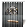 thumbnail image 1 of ABPHQTO Juego de cortinas de ducha con decoración para amantes de los perros, bonito cachorro Dachshund mirando un regalo sobre la mesa, cortina de ducha de baño de tela de 150x180 cm, 1 of 2
