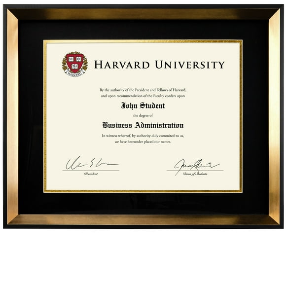 Excello Global Products Modern Photo Document Frame: 8.5x11 with Double Mat Graduation Diploma Certificate Holder Wall Frame (Gold) - EGP-HD-0332