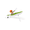 Green, variant on RC Kayak with Unique Paddling Propulsion & Anti-Capsize Design, 2.4G Remote Control Watercraft with LED Light for Adults, RC Boat for Pools, Calm Water, Green