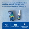 thumbnail image 2 of Mommy's Bliss Baby Probiotic Drops + Vitamin D, Supports Digestive Health and Immunity, 400IU Vitamin D for Healthy Bone Development, Newborns +, Flavorless, 0.34 Fl Oz (30 Servings), 2 of 8