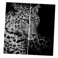 thumbnail image 1 of 2 Paneles 3D Foto Impresión Cortinas de Ventana Habitación de Naturaleza Animal Imagen Decoración de nieve perfecl Cortina de poliéster, 1 of 8