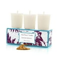 thumbnail image 1 of Seda France Classic Toile Bougies Votives en Coing Japonais, 1 of 1