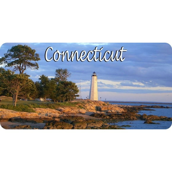 Connecticut Lighthouse Scene Photo License Plate