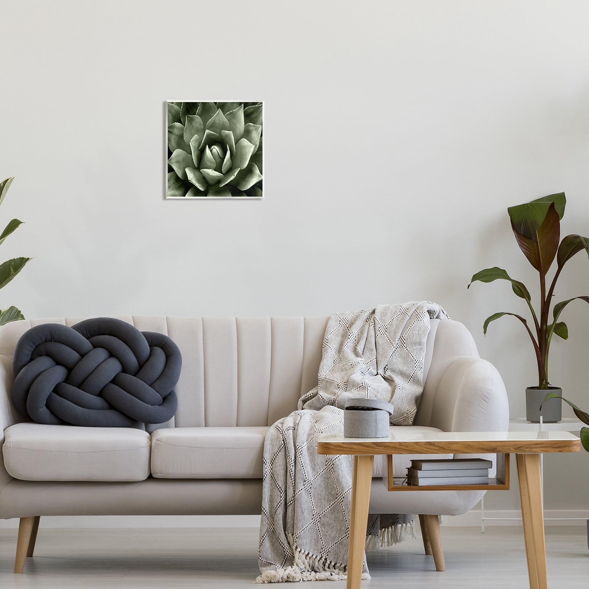 Stupell Industries Succulent Plant Close Up View Botanical & Floral Painting Unframed Art Print Wall Art